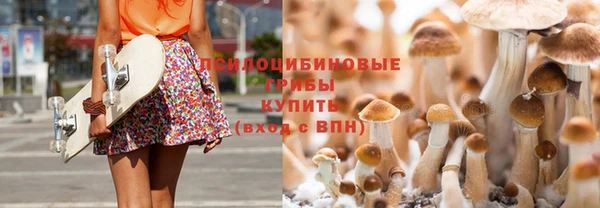 крисы Армянск