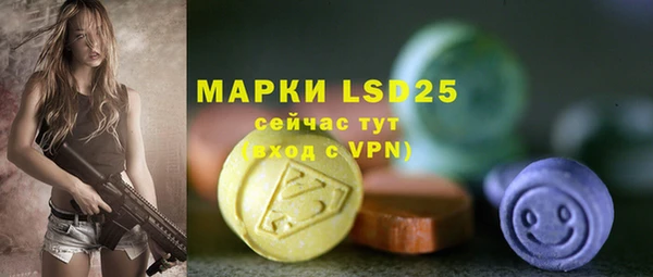 крисы Армянск