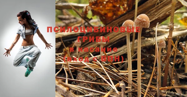 крисы Армянск