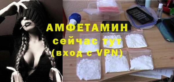 крисы Армянск